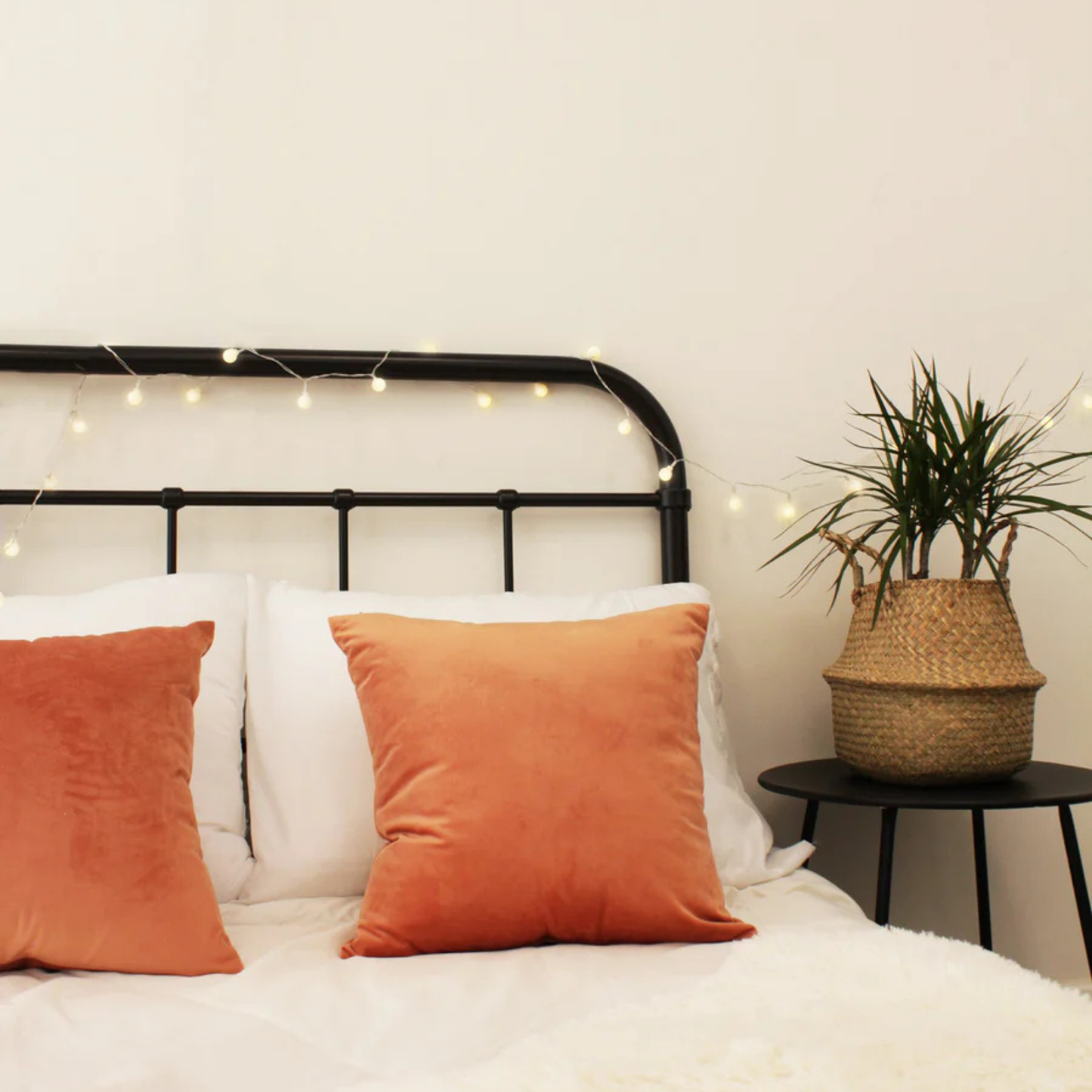 Elegani Frosted Globe String Lights with Remote – 50 LED 15.7ft Fairy Lights with 8 Lighting Modes, Warm White Indoor Outdoor Decorative String Light