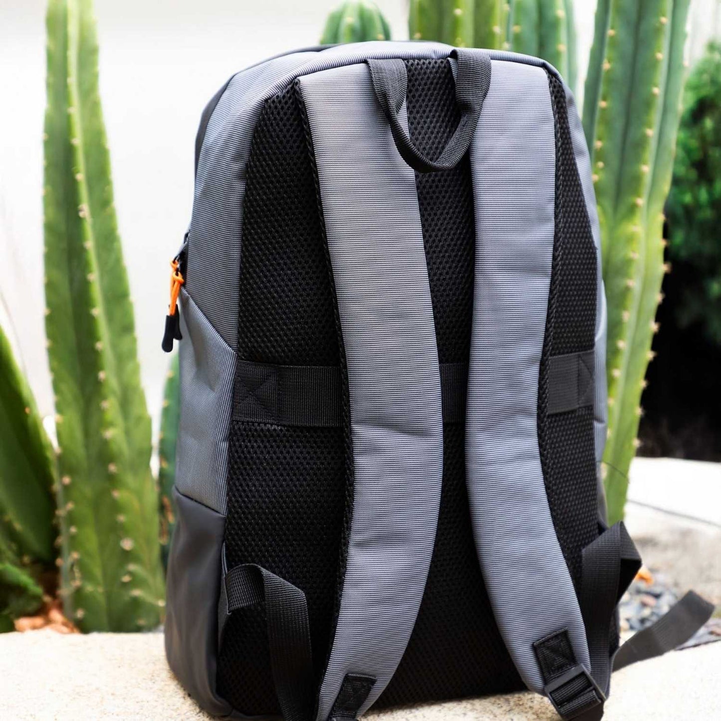 Elegani Active Backpack – 11.02" x 16.53" x 5.51" Eco-Friendly RPET & PU, 16.4L Capacity, Fits 15" Laptop, Padded Mesh Straps, Multiple Pockets