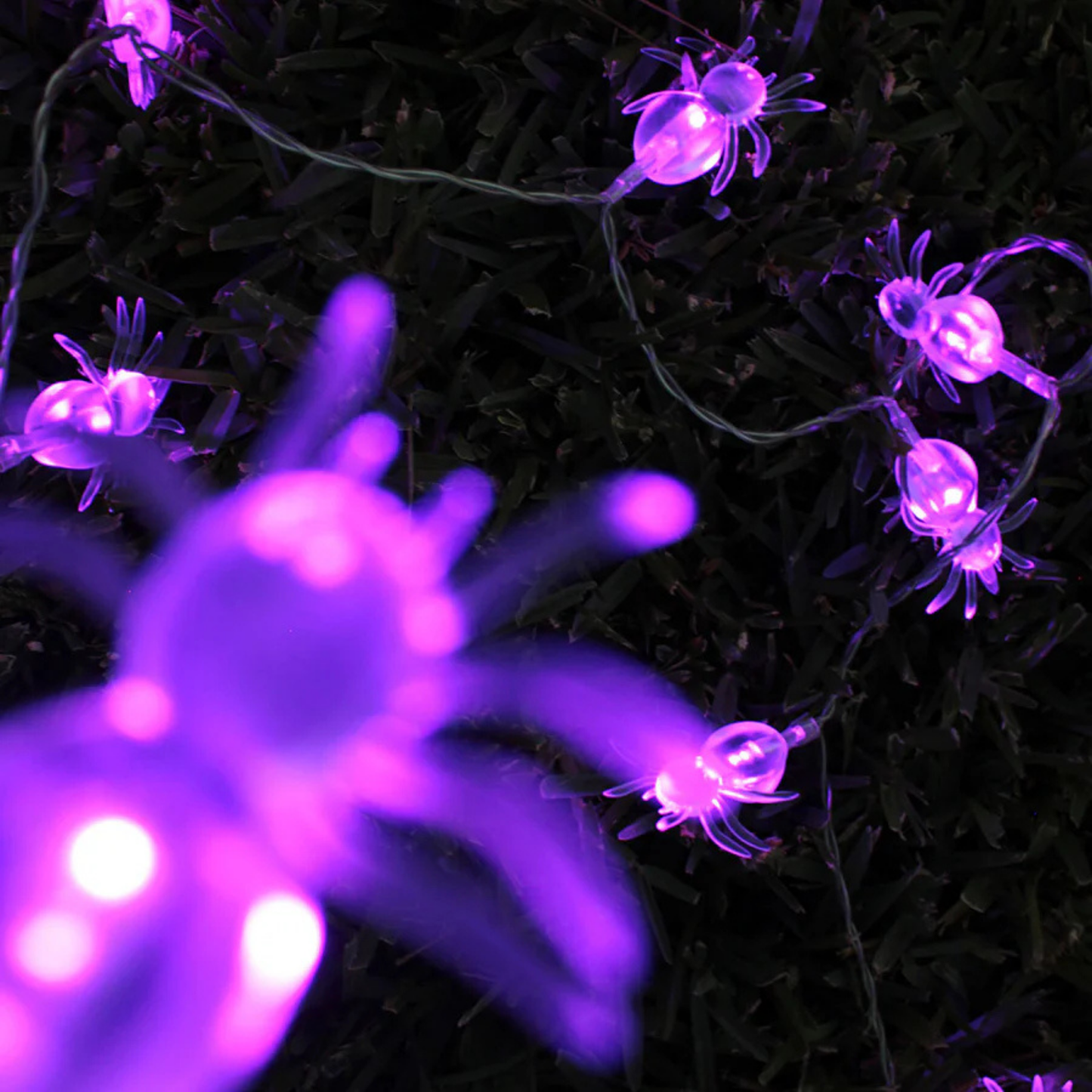 Elegani 10 LED Spider String Lights – Purple Glow Halloween Décor – 3ft Clear Wire
